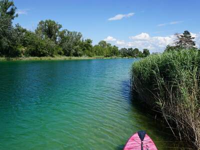 Haus mit Garten kaufen in 1220 Wien (Bild 4)