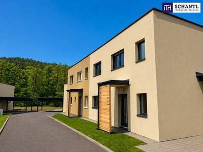 Haus kaufen in 8151 Rohrbach