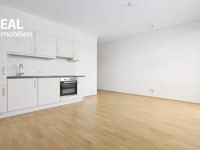 Terrassenwohnung mieten in 3100 St. Pölten (Bild 4)