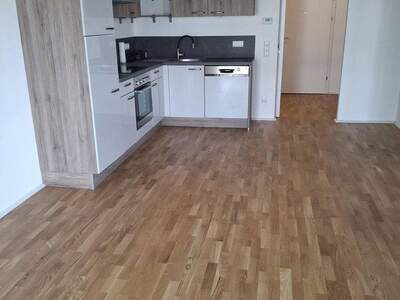 Terrassenwohnung mieten in 2486 Pottendorf (Bild 3)