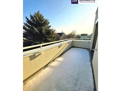 Wohnung kaufen in 1220 Wien