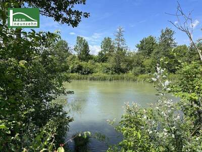 Terrassenwohnung kaufen in 1210 Wien (Bild 4)