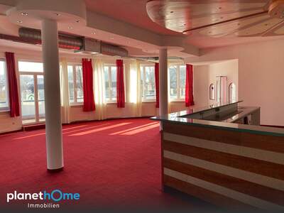 Terrassenwohnung kaufen in 4400 Steyr (Bild 4)