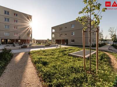 Terrassenwohnung mieten in 4623 Gunskirchen (Bild 1)