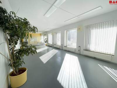 Gewerbeobjekt mieten in 8790 Eisenerz