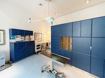 Gewerbeobjekt kaufen in 1080 Wien