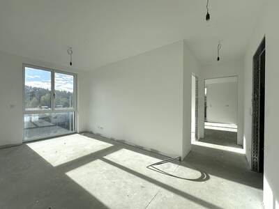 Gewerbeobjekt kaufen in 8043 Graz (Bild 4)