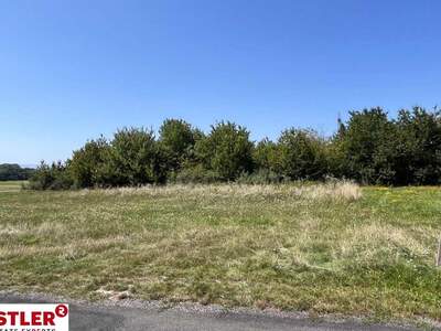 Grundstück kaufen in 2491 Zillingdorf (Bild 2)