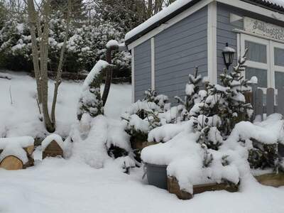 House provisionsfrei kaufen in 3613 Albrechtsberg
