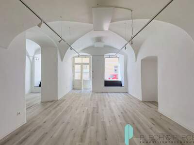 Gewerbeobjekt mieten in 1010 Wien (Bild 1)