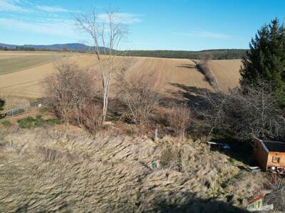 Einfamilienhaus kaufen in 2560 Oedlitz (Bild 3)