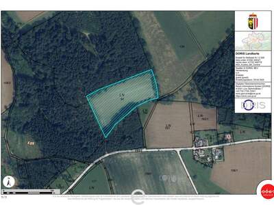 Gewerbeobjekt kaufen in 4076 St. Marienkirchen (Bild 4)