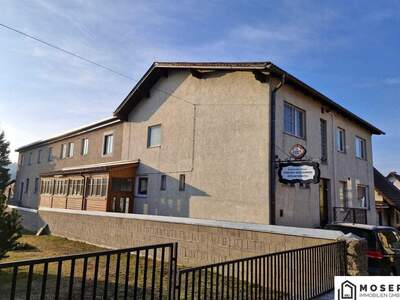 Gewerbeobjekt kaufen in 3860 Heidenreichstein (Bild 1)