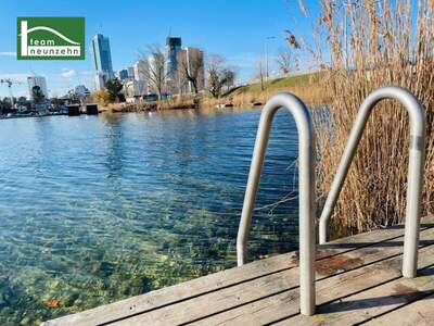 Wohnung kaufen in 1220 Wien (Bild 4)