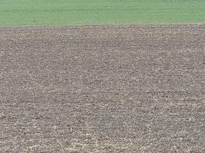 Gewerbeobjekt kaufen in 3388 Mannersdorf