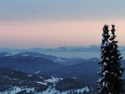 Wohnung kaufen in 9571 Sirnitz (Bild 1)