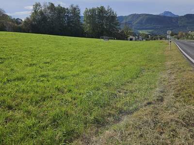 Gewerbegrundstück mieten in 4882 Oberwang