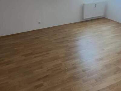 Wohnung provisionsfrei mieten in 8020 Graz