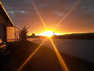 Wohnung provisionsfrei mieten in 1100 Wien