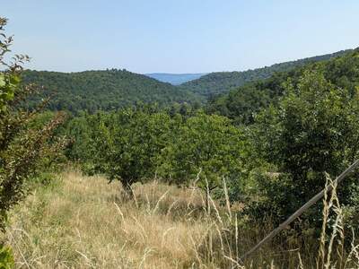 Gewerbeobjekt mieten in 3500 Rehberg (Bild 5)
