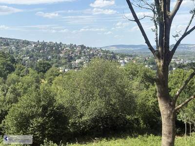 Gewerbeobjekt kaufen in 3400 Klosterneuburg