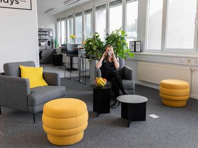 Büro / Praxis mieten in 1230 Wien (Bild 3)