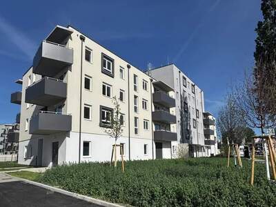 Mietwohnung in 2700 Wiener Neustadt