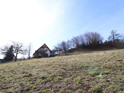 Grundstück kaufen in 8591 Maria Lankowitz (Bild 3)