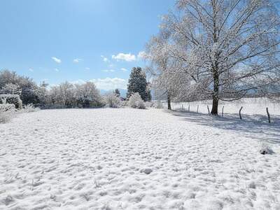 Grundstück kaufen in 5020 Salzburg (Bild 4)