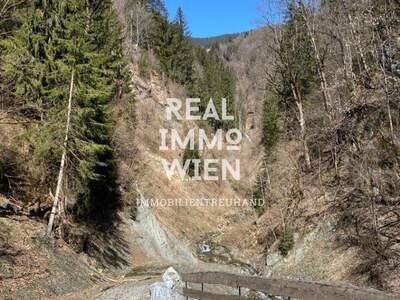 Grundstück kaufen in 5660 Taxenbach