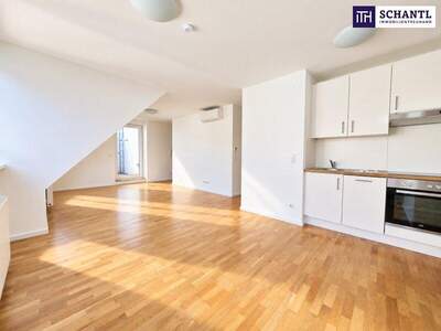 Terrassenwohnung kaufen in 1040 Wien (Bild 5)
