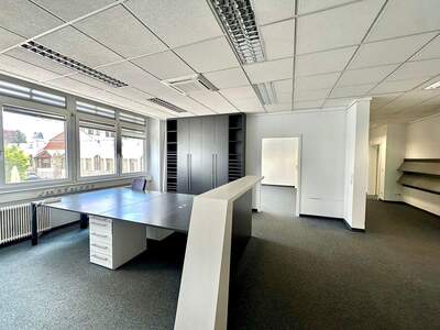 Gewerbeobjekt mieten in 1130 Wien (Bild 4)