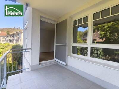 Terrassenwohnung mieten in 3500 Krems (Bild 1)