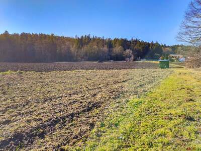 Gewerbeobjekt kaufen in 8561 Söding (Bild 4)