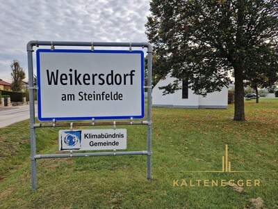 Grundstück kaufen in 2722 Weikersdorf