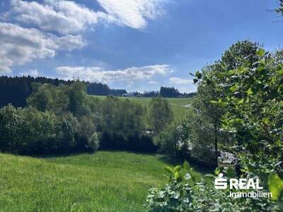 Grundstück kaufen in 4202 Althellmonsödt (Bild 1)