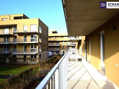 Terrassenwohnung kaufen in 8401 Kalsdorf (Bild 2)