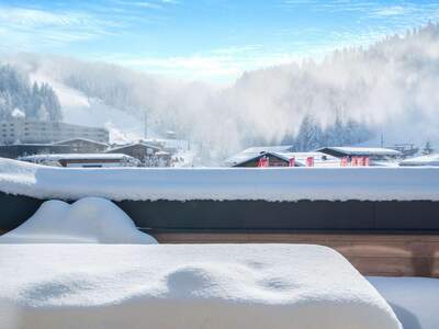 Terrassenwohnung kaufen in 6391 Fieberbrunn (Bild 5)