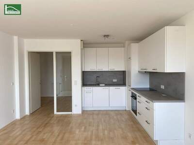 Wohnung mieten in 1100 Wien