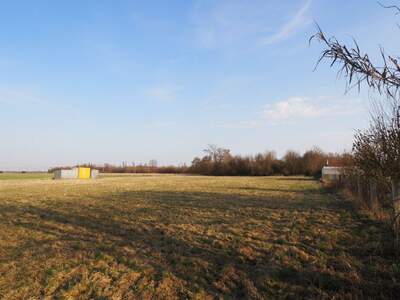 Grundstück kaufen in 4064 Oftering (Bild 2)