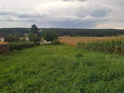 Haus provisionsfrei kaufen in 8271 Bad Waltersdorf
