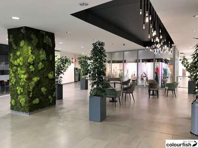 Gewerbeobjekt mieten in 1030 Wien (Bild 5)