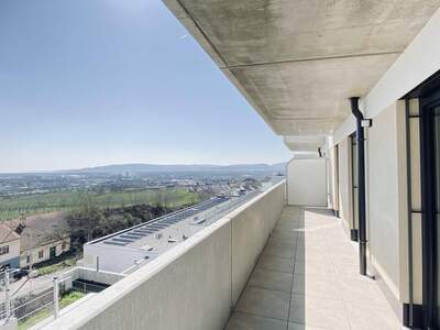 Anlageobjekt kaufen in 3500 Krems