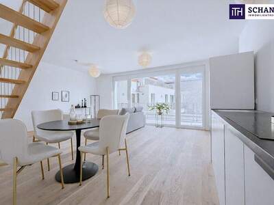 Terrassenwohnung kaufen in 2514 Traiskirchen (Bild 3)