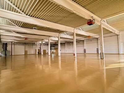 Gewerbeobjekt mieten in 3105 St. Pölten