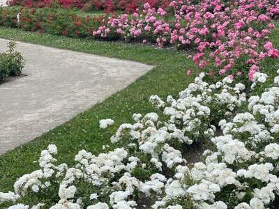 Wohnung kaufen in 2500 Baden (Bild 4)