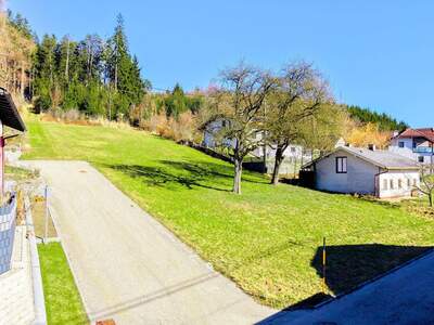 Grundstück kaufen in 4690 Pitzenberg