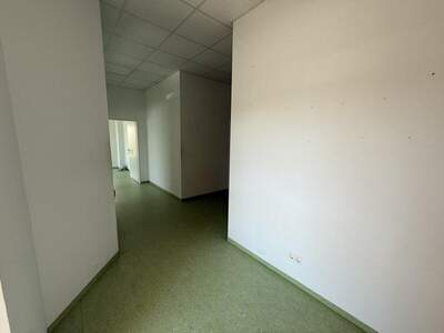 Büro / Praxis mieten in 2544 Leobersdorf (Bild 4)