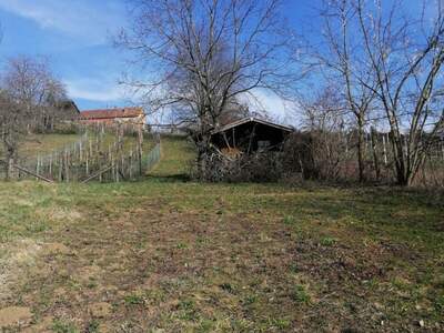 Gewerbeobjekt kaufen in 8342 Gnas (Bild 3)