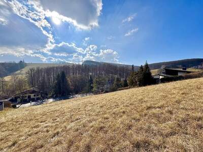 Grundstück kaufen in 3400 Klosterneuburg